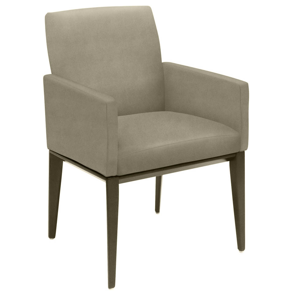 H-PAL Arm Chair