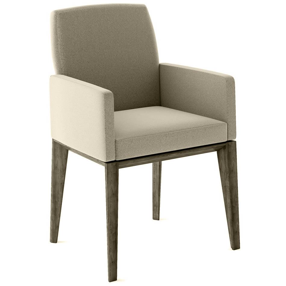 H-PAL Arm Chair