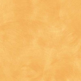 Maroochy Brush