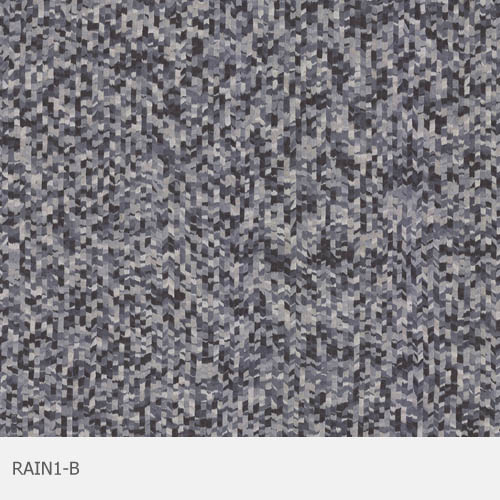 RAIN1-b