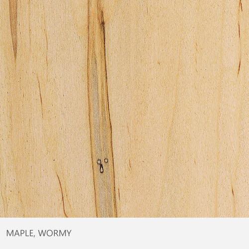 Maple Wormy