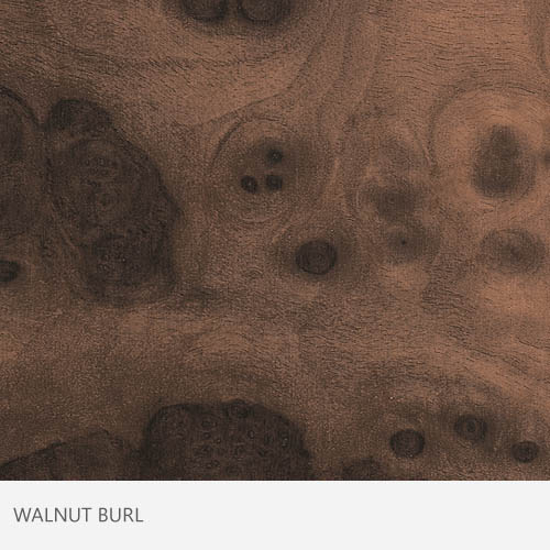 Walnut Burl