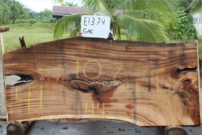 3 INCH THICK LIVE EDGE SLAB OPTIONS