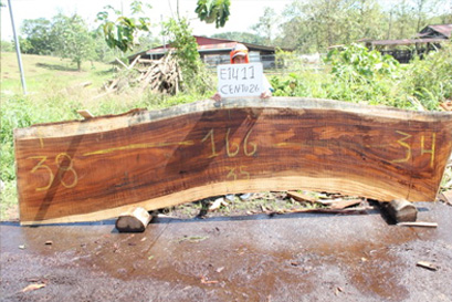 2 INCH THICK LIVE EDGE SLAB OPTIONS