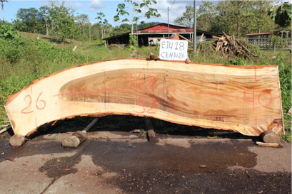 2 INCH THICK LIVE EDGE SLAB OPTIONS